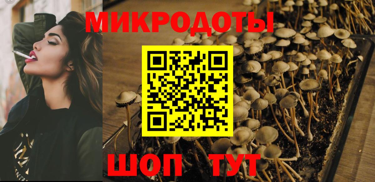 Псилоцибиновые грибы Psilocybe Изобильный