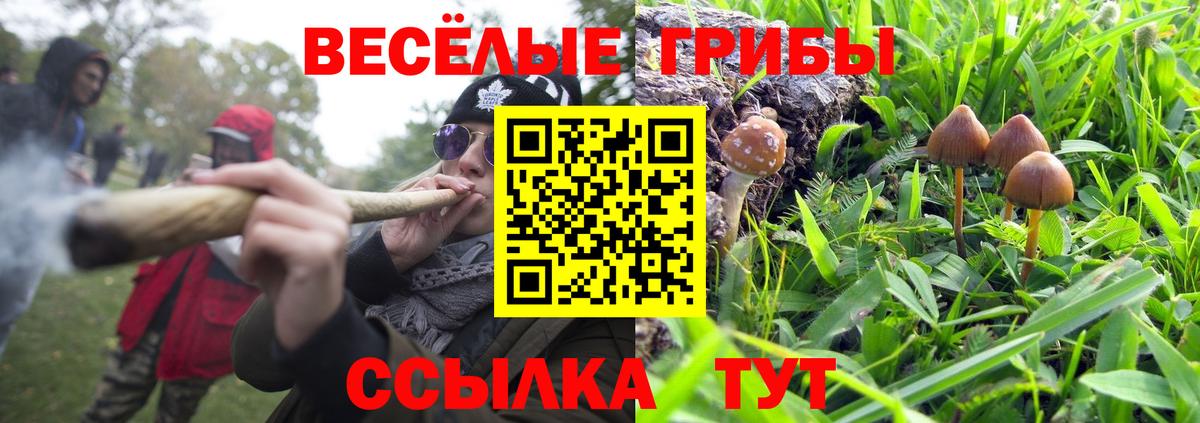 Псилоцибиновые грибы ЛСД  Вход с VPN  Псилоцибиновые грибы GOLDEN TEACHER  Изобильный 
